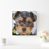 Horloge Carrée Terrier Puppy du Yorkshire (Maison)