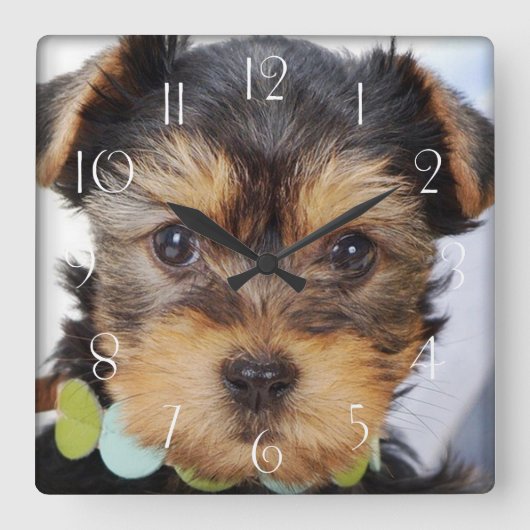 Horloge Carrée Terrier Puppy du Yorkshire (Recto)