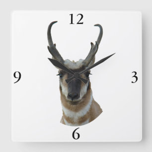 Horloge Carrée Tête de buck à face sombre d'antilope pronghorn A1