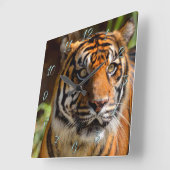 Horloge Carrée Tiger (Angle)