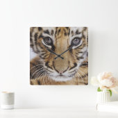 Horloge Carrée Tiger (Maison)