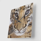 Horloge Carrée Tiger (Angle)