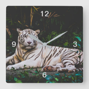 Horloge Carrée Tigre