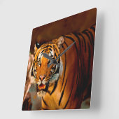 Horloge Carrée Tigre (Angle)