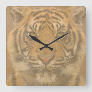 Horloge Carrée Tigre Wall Clock