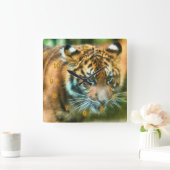 HORLOGE CARRÉE TIGRE YOUTH (Maison)