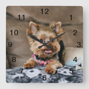 Horloge Carrée Tiny dynamo