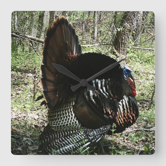 HORLOGE CARRÉE TOM TURKEY FULL STRUT SQUARE WALL CLOCK (Recto)