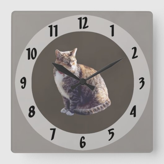 Horloge Carrée Tortoiseshell (Recto)