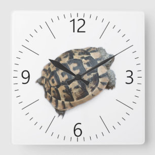 Horloge Carrée Tortue