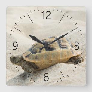 Horloge Carrée Tortue