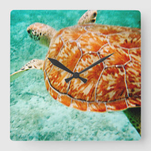 Horloge Carrée Tortue de mer