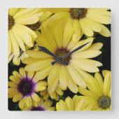 Horloge Carrée tournesol (Recto)