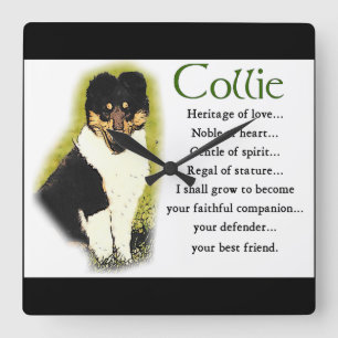 Horloge Carrée Tri Color Rough Collie Puppy