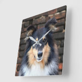 Horloge Carrée Tricolor Sheltie face (Angle)