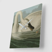 Horloge Carrée Trumpeter Swan (Angle)