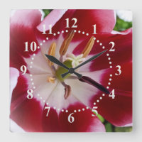 tulipe rouge brillante