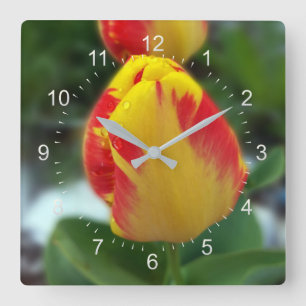 Horloge Carrée tulipes rouges jaunes