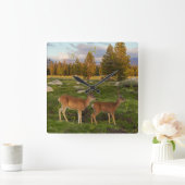 Horloge Carrée Tuolumne Meadow, yosemite (Maison)