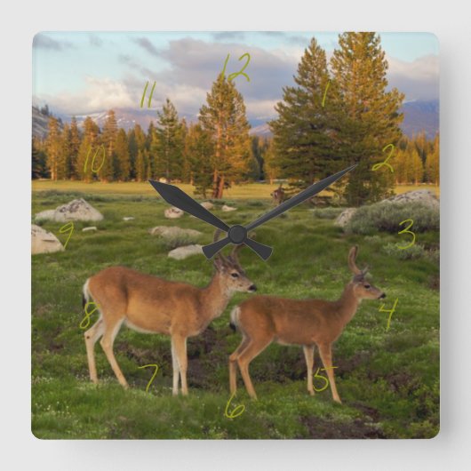 Horloge Carrée Tuolumne Meadow, yosemite (Recto)