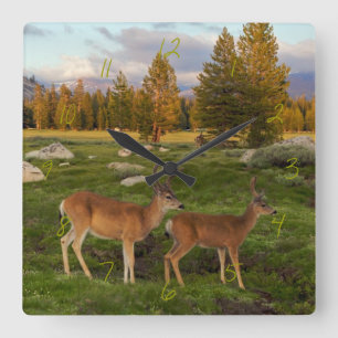 Horloge Carrée Tuolumne Meadow, yosemite