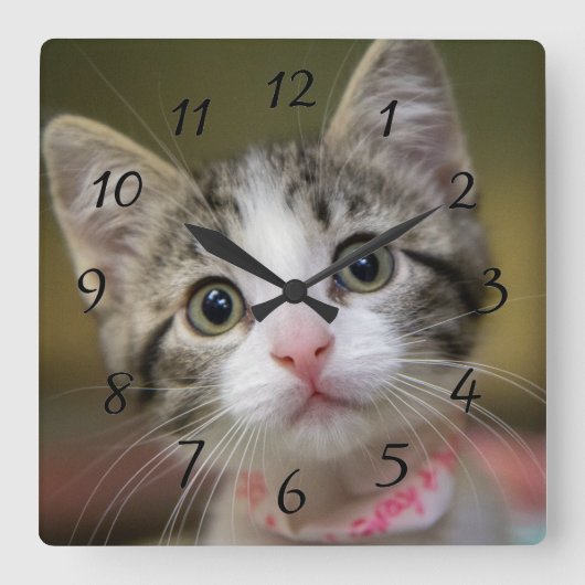 Horloge Carrée Un chaton mignon aux yeux verts (Recto)