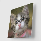 Horloge Carrée Un chaton mignon aux yeux verts (Angle)