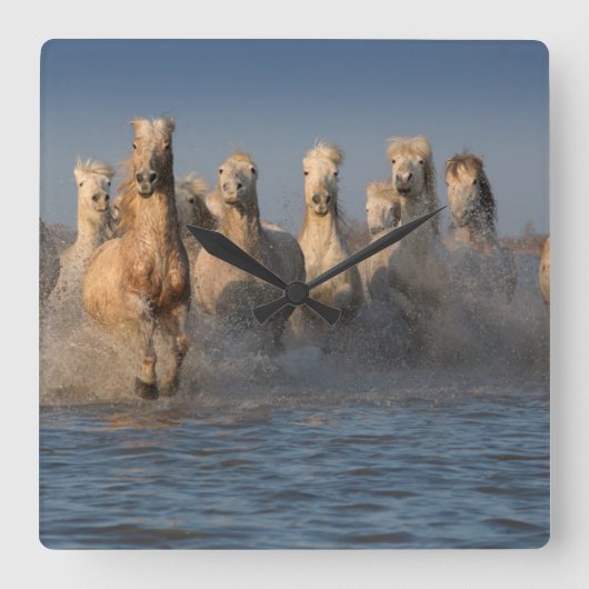 Horloge Carrée Un Groupe De Chevaux Blancs En Camargue (Recto)