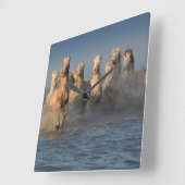 Horloge Carrée Un Groupe De Chevaux Blancs En Camargue (Angle)