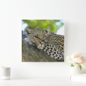 Horloge Carrée Un magnifique léopard (Maison)