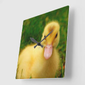 Horloge Carrée Un Petit Canard (Angle)