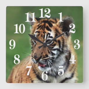 Horloge Carrée Un tigre de bébé mignon