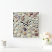 Horloge Carrée Une collection de coquillages (Maison)