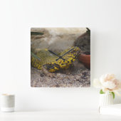 Horloge Carrée Uromastyx geyri (Maison)