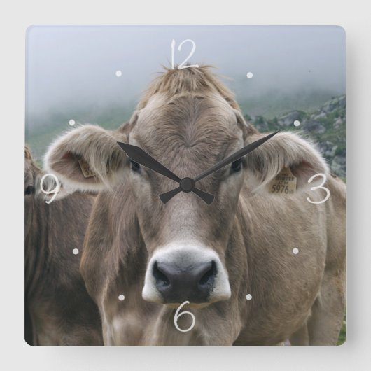 Horloge Carrée Vaches alpines (Recto)