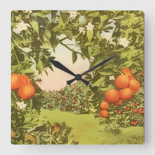 Horloge Carrée Verger d'orange vintage