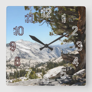 Horloge Carrée Vieil arbre au parc national de Yosemite