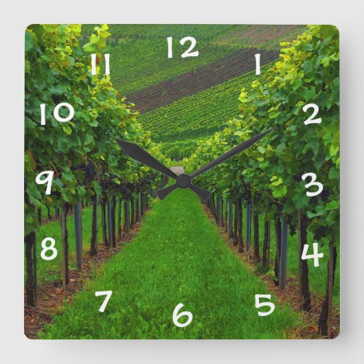 Horloge Carrée Vignoble (Recto)