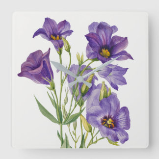 Horloge Carrée Vintage Mary Vaux Walcott Fleurs Botaniques