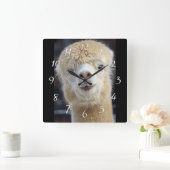 Horloge Carrée Visage d'alpaca mignon    (Maison)