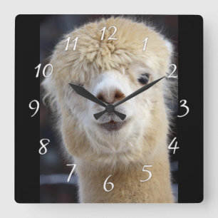 Horloge Carrée Visage d'alpaca mignon   