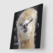 Horloge Carrée Visage d'alpaca mignon    (Angle)