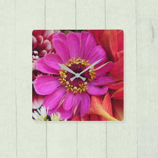 Horloge Carrée Vivid Magenta Zinnia Among