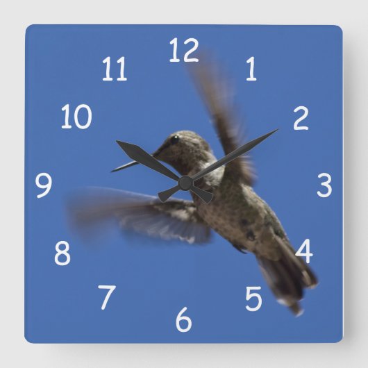 Horloge Carrée Vol du colibri (Recto)