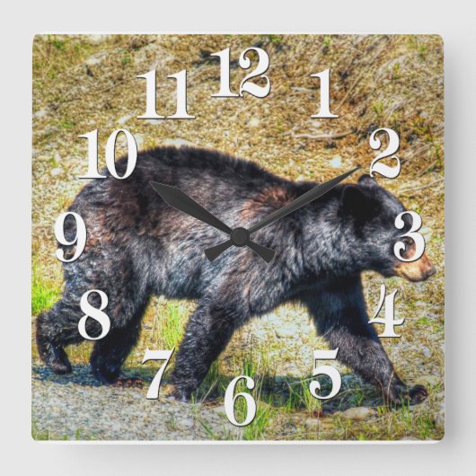 Horloge Carrée Walking Black Bear Faune Photo Art (Recto)