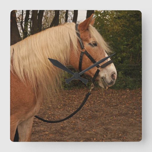 Horloge Carrée Wallach Mifisto (Recto)