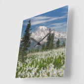 Horloge Carrée Washington, Parc national du Mont Rainier 1 (Angle)