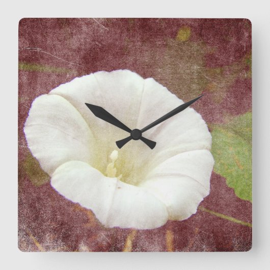 Horloge Carrée White Bindweed - La gloire vivace du matin (Recto)