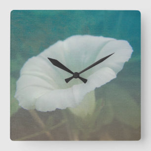 Horloge Carrée White Bindweed - La gloire vivace du matin