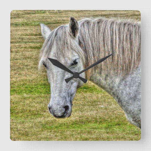 Horloge Carrée White New Forest Pony Wild Horse (Recto)